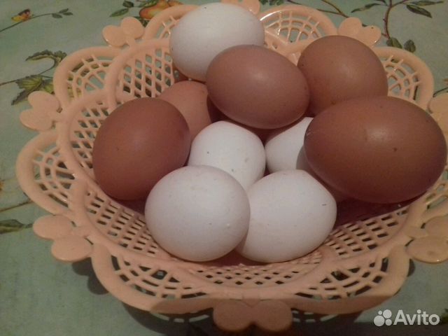 Яйца куриные