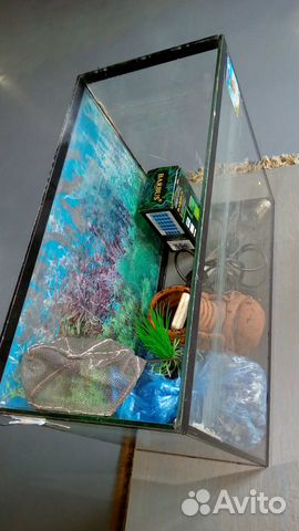 Породам аквариум 20 литров купить на Зозу.ру - фотография № 2