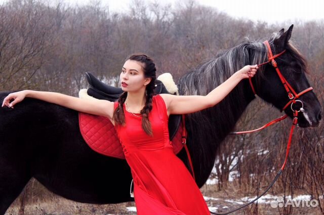 Конные прогулки, занятия верховой ездой, аренда