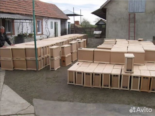 Пчелопакеты 2020