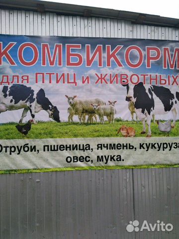 Отруби, комбикорм, пшеница, ячмень,овес купить на Зозу.ру - фотография № 2