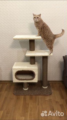 Когтеточка Комплекс для кота дом для кошки Когтеточка Комплекс для кота дом для кошки