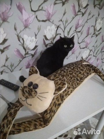 Кот Подушка, Игрушка. Подарок