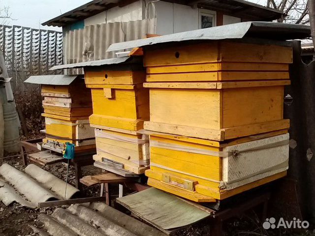 Улей пчелиный Рута купить на Зозу.ру - фотография № 1