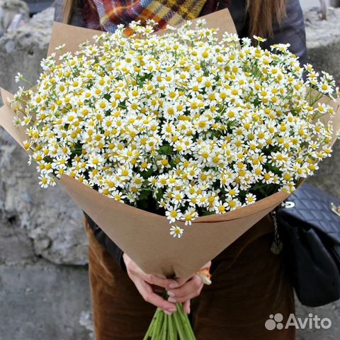 Букет из ромашек Букет из ромашек