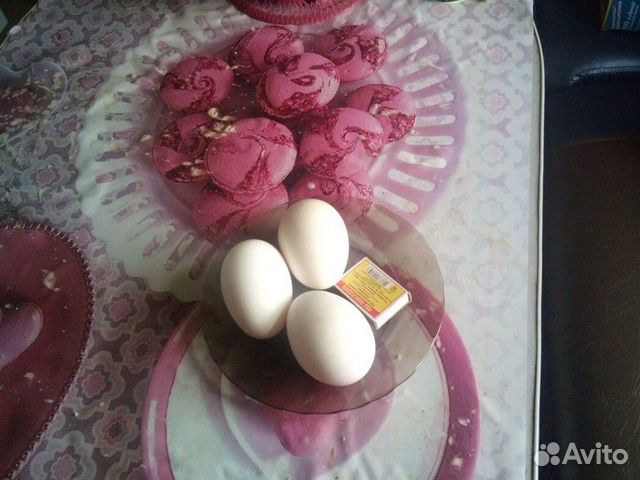 Яйцо инкубационные гусиное купить на Зозу.ру - фотография № 2