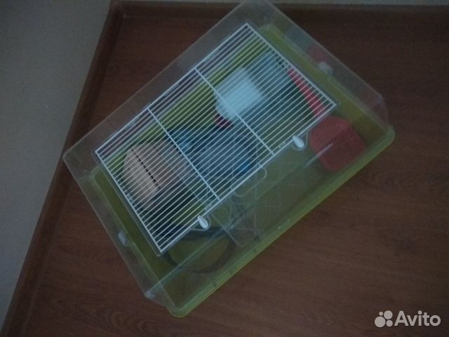 Клетка Клетка
