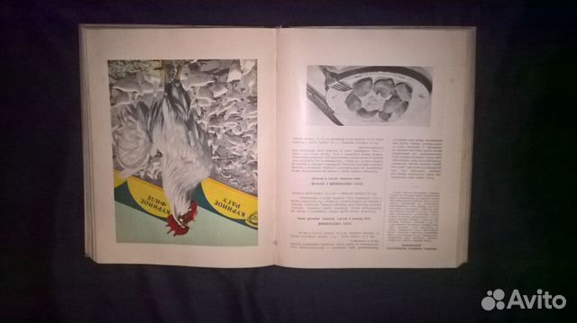 Книга о вкусной и здоровой пище 1953г Книга о вкусной и здоровой пище 1953г
