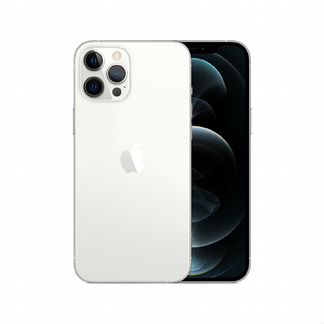 Apple iPhone 12 Pro Max 256GB (2 SIM) Silver