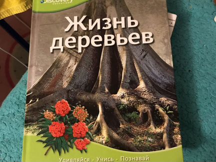 Книга Жизнь деревьев