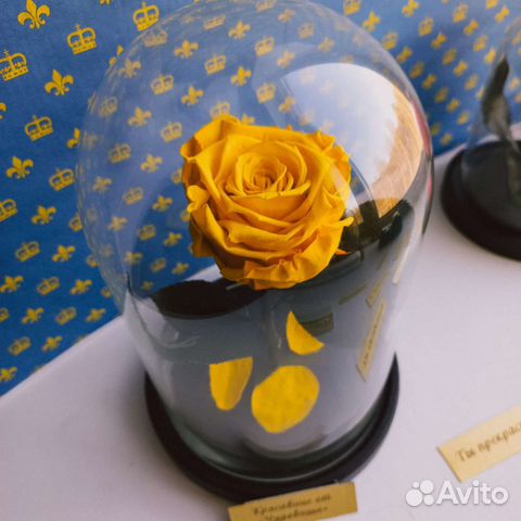 Роза в колбе В наличии