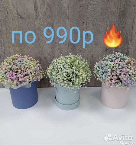 Гипсофила в шляпной коробке