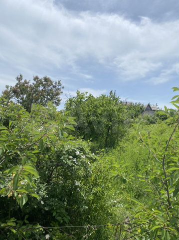 Участок 4 сот. (СНТ, ДНП)