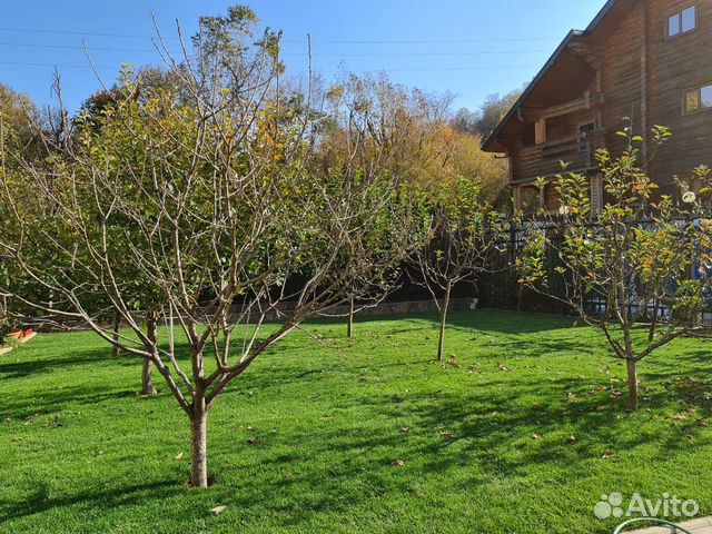 Рулонный газон (спорт, элит, стандарт)