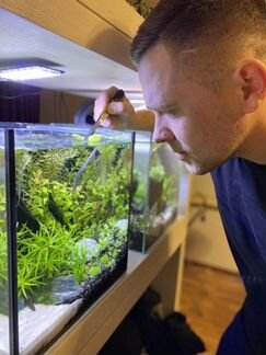 Обслуживание аквариума