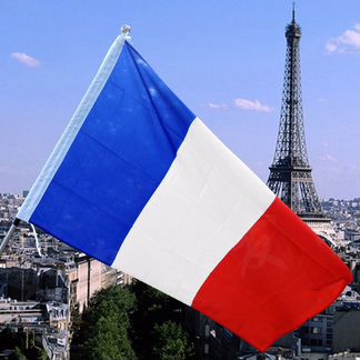 Французский язык