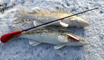 Удочка Чудилка на судака Angler 21