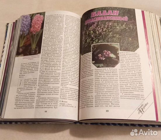 Журналы Приусадебное хозяйство за 1996 год