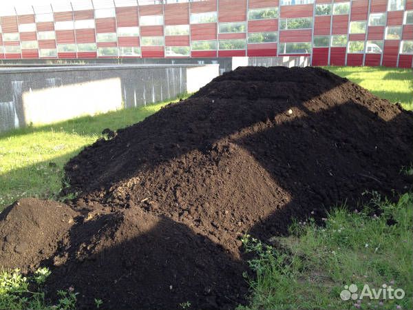 Чернозем для газона