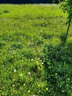 Участок 18,6 сот. (ИЖС)