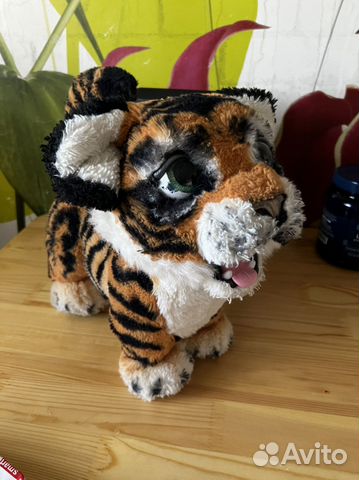 Тигренок амурчик