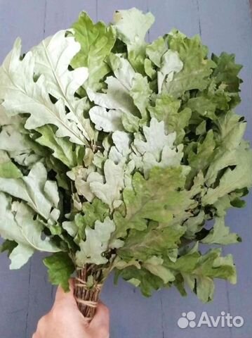 Веники для бани дубовые веники