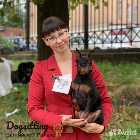 Передержка собак / Зоогостинница