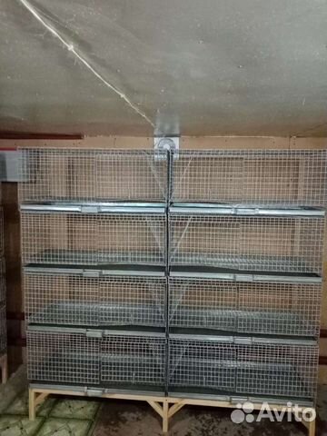 Клетки для кроликов и шиншилл, шиншиллы