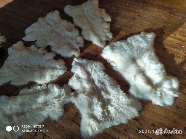 Овечья шкура