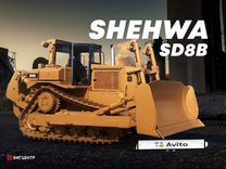 SHEHWA (HBXG) SD8B, 2022