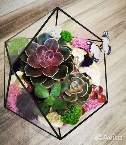 Флорариум в геометрических формах