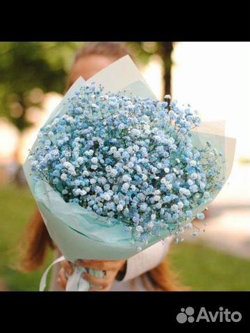 Гипсофила Букеты Цветы