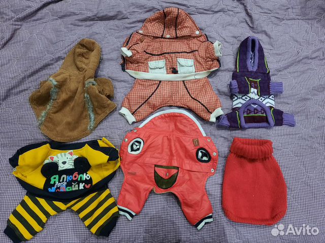 Костюмы для маленьких собак