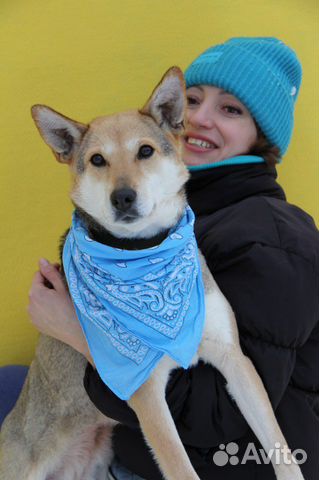 Ласковая молодая Кетрин просится домой,спасите ее