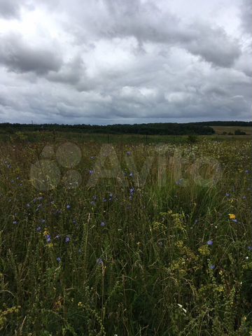 Участок 16,28 га (ИЖС)