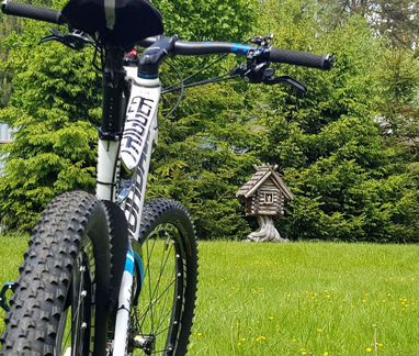 Cannondale Trigger 2 Carbon