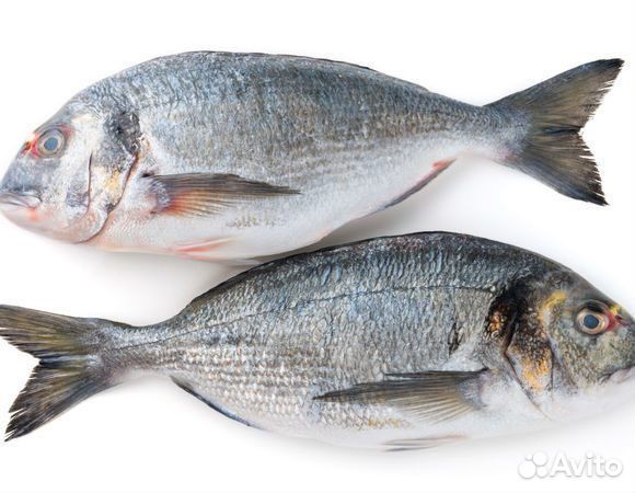 Дорадо (сухая заморозка)