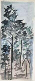 Нагаевская Елена Варнавовна/Прибалтика. Сосны 1972