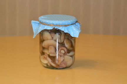 Соленые грибы-рыжики,грузди,белые,маслята, опята