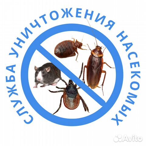 Уничтожение клопов и тараканов