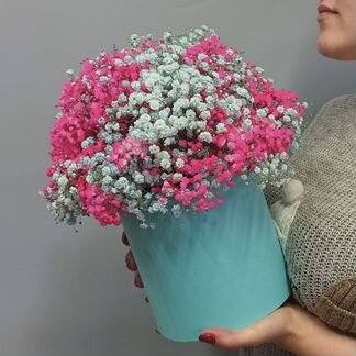 Цветы гипсофила букет