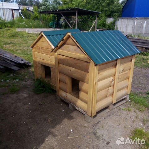 Будка (конура)