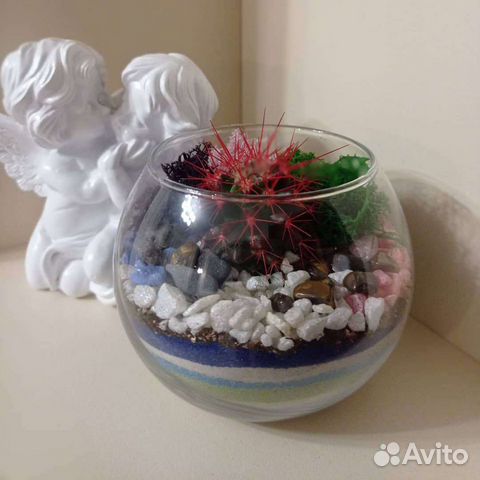 Флорариум с кактусом