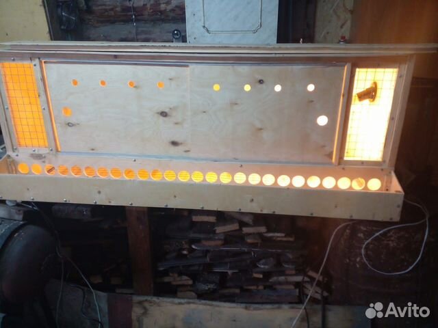 Клетка брудер для цыплят