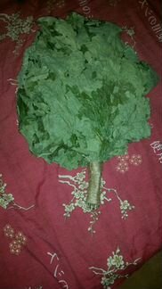 Веник дубовый