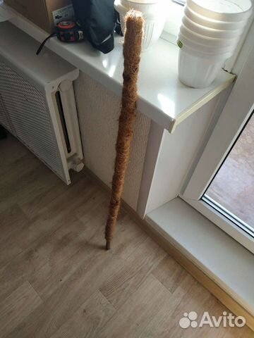 Палка кокосовая опора для цветка 100 см