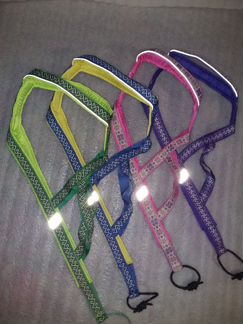 Шлейки ездовые