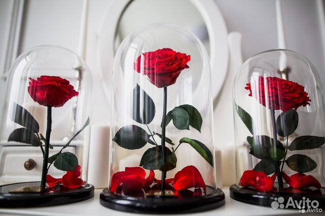 Розы в колбе