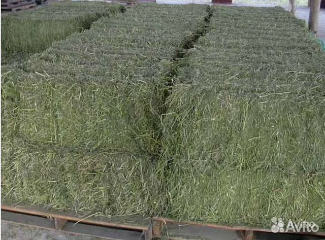Сено в тюках с доставкой