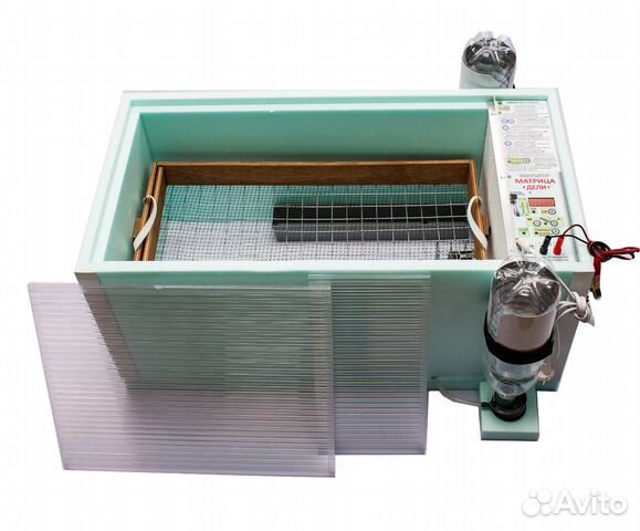 Инкубатор блиц 